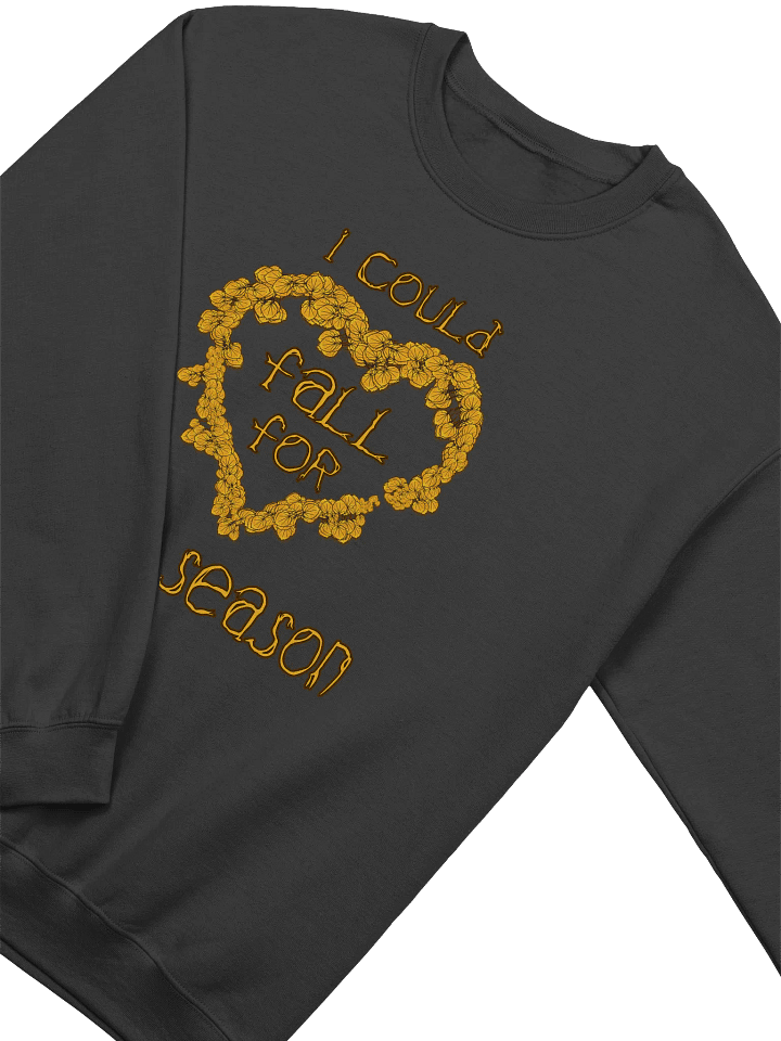 FALL SWEATSHIRT (D2) product image (4)