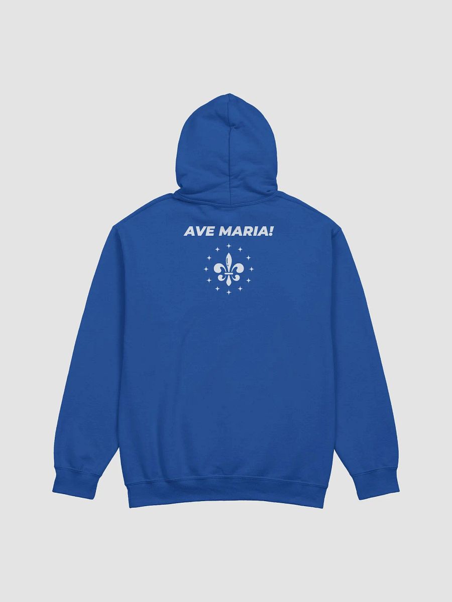 Pray The Holy Rosary Every Day Hoodie product image (4)