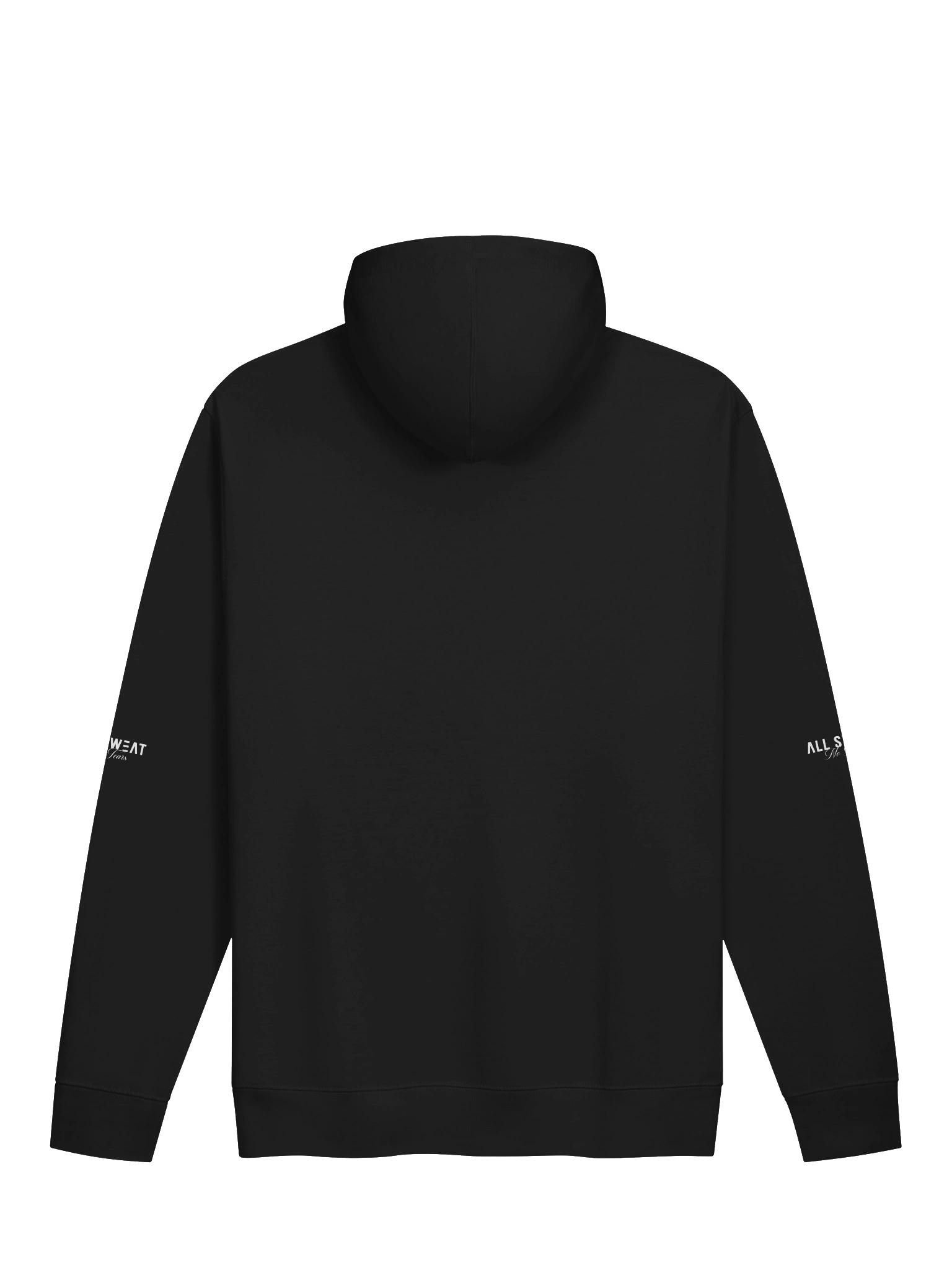 Asnt Urban Hoodie product image (2)