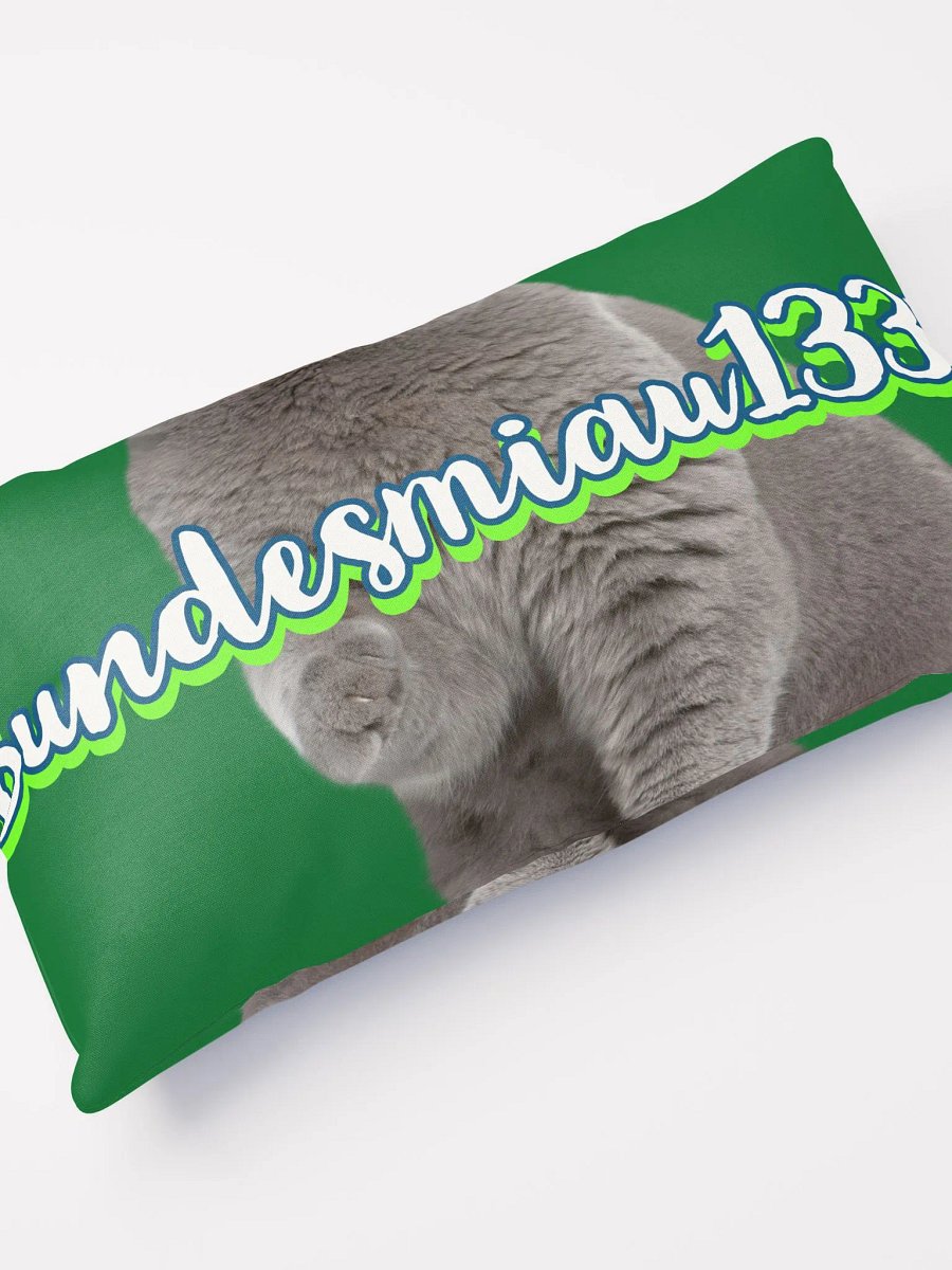 Fan Kissen product image (10)