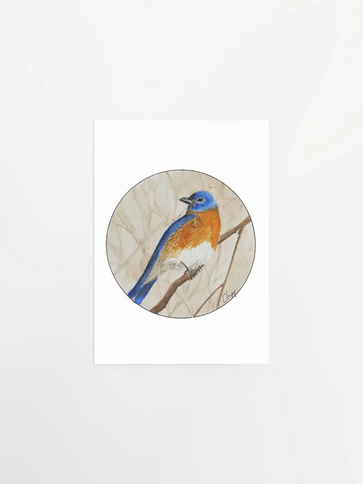 Eastern Bluebird print product image (1)