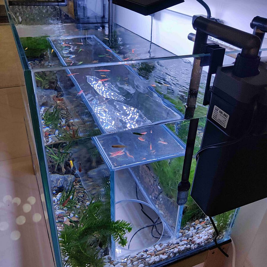 Bottom Entrance Cat Aquarium product image (3)