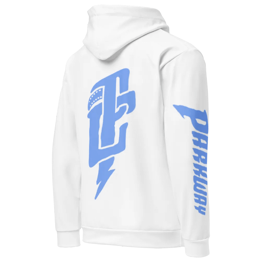 PARKWAY CINEMA "SOBER" HOODIE product image (5)
