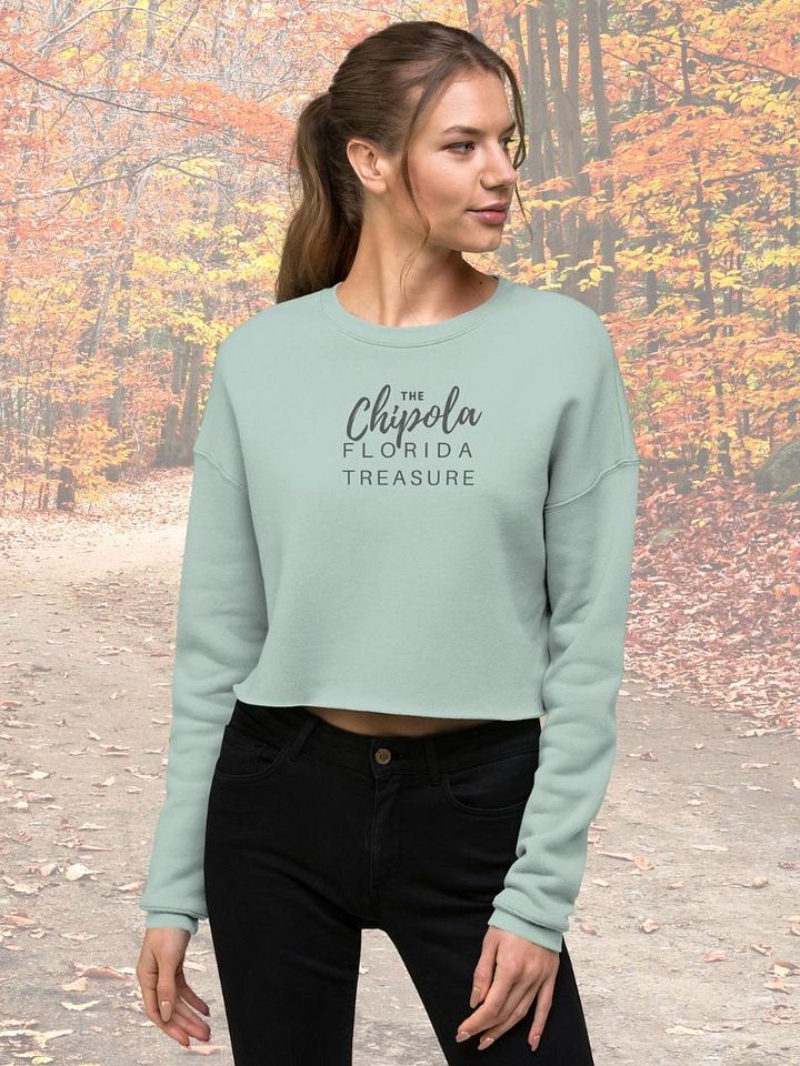 The Fleece Crop Sweatshirt product image (1)
