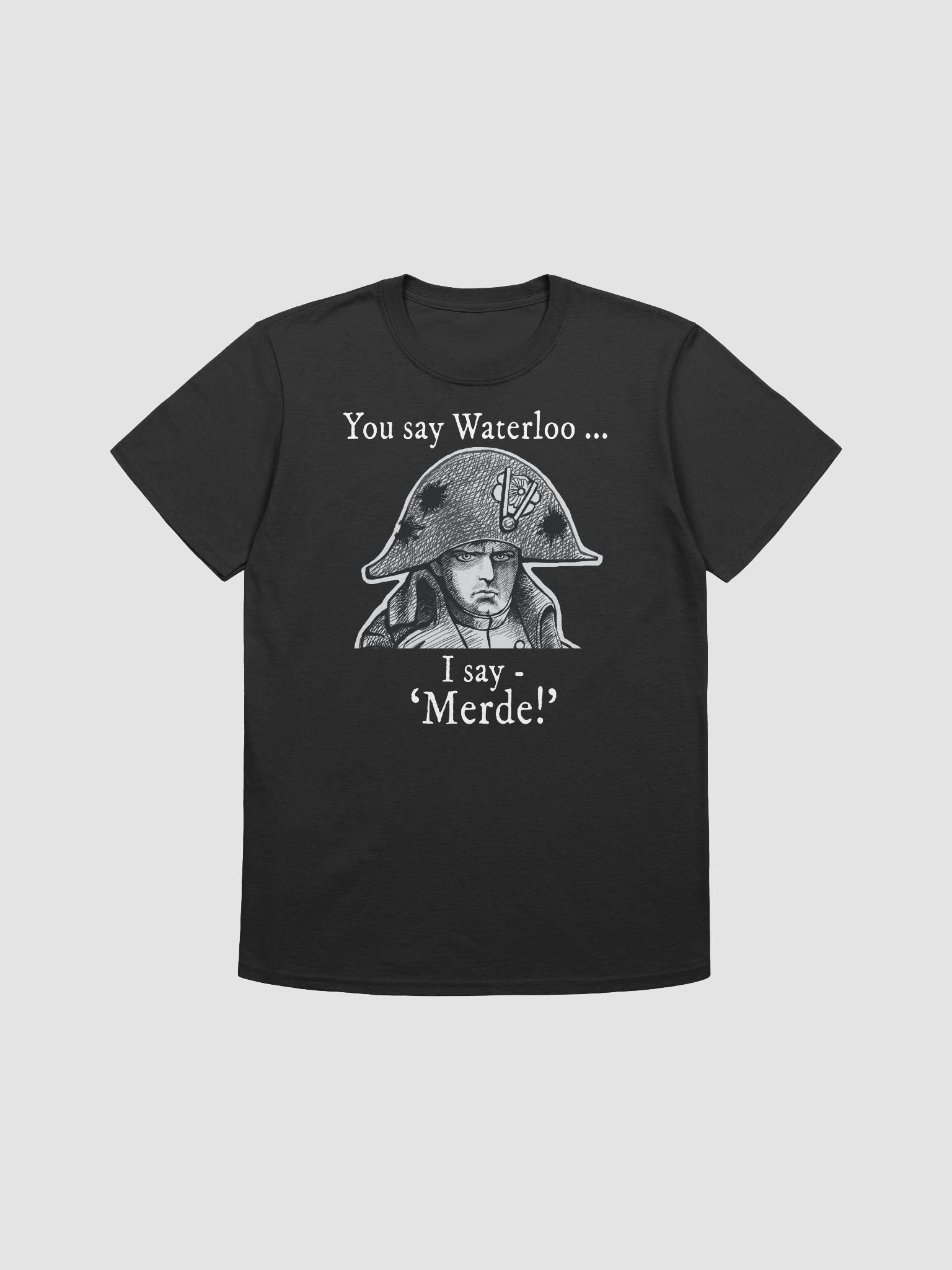 Napoleon's Waterloo: funny history T-shirt product image (11)