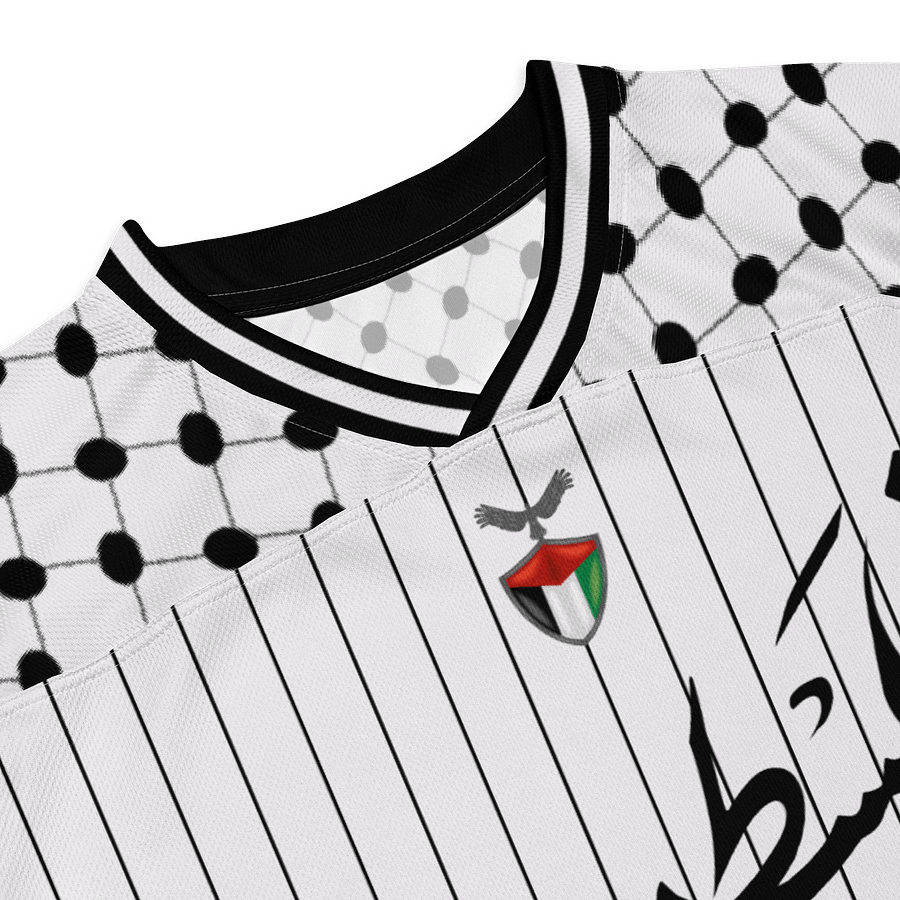 Break The Bars Long Sleeve Palestine Jersey product image (6)