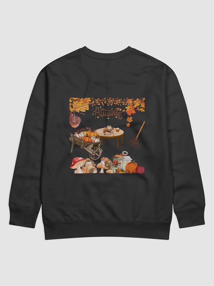 Autumn sweater product image (5)