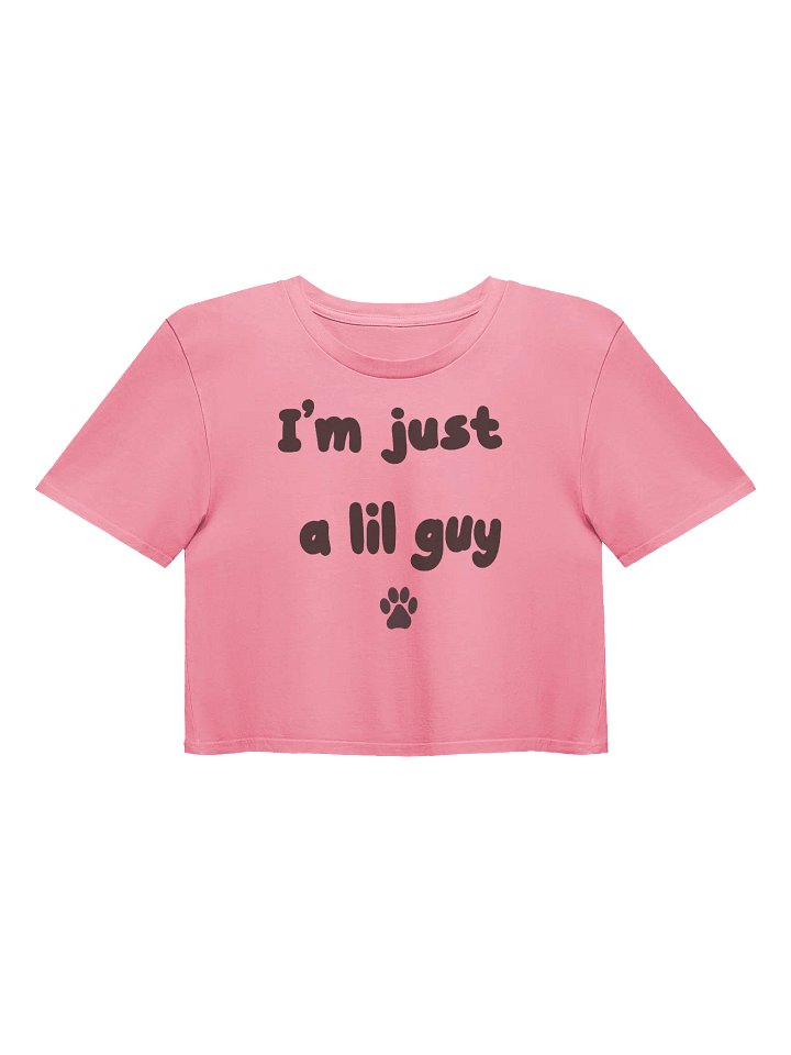 Lil guy Crop Top product image (1)