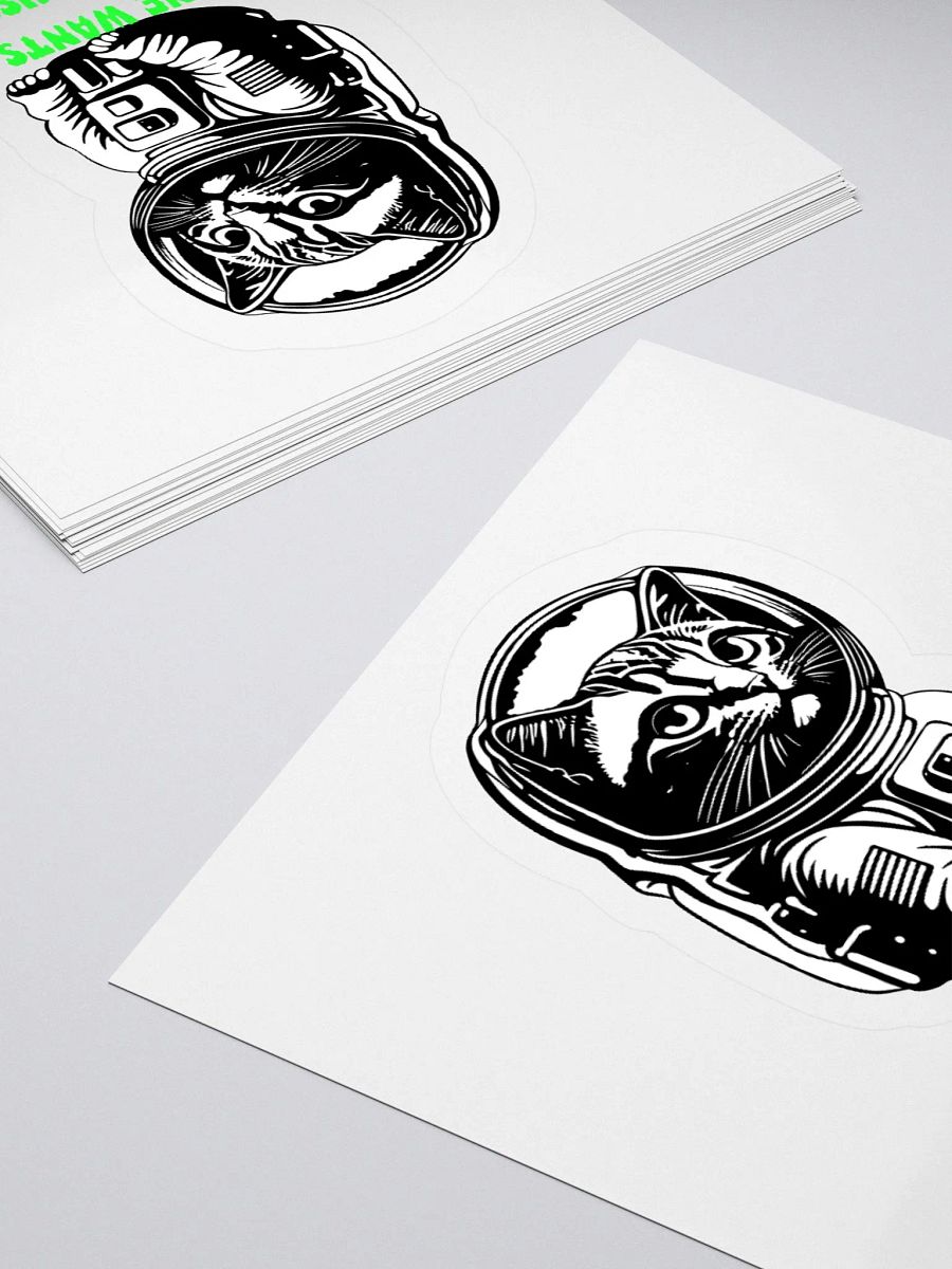 SPACE PUSSY STICKER product image (16)
