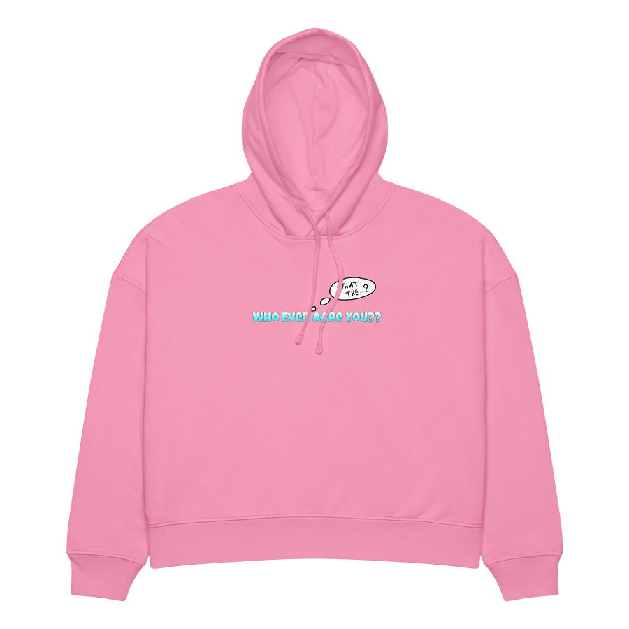 Who Even Are You?? Organic Hoodie product image (11)