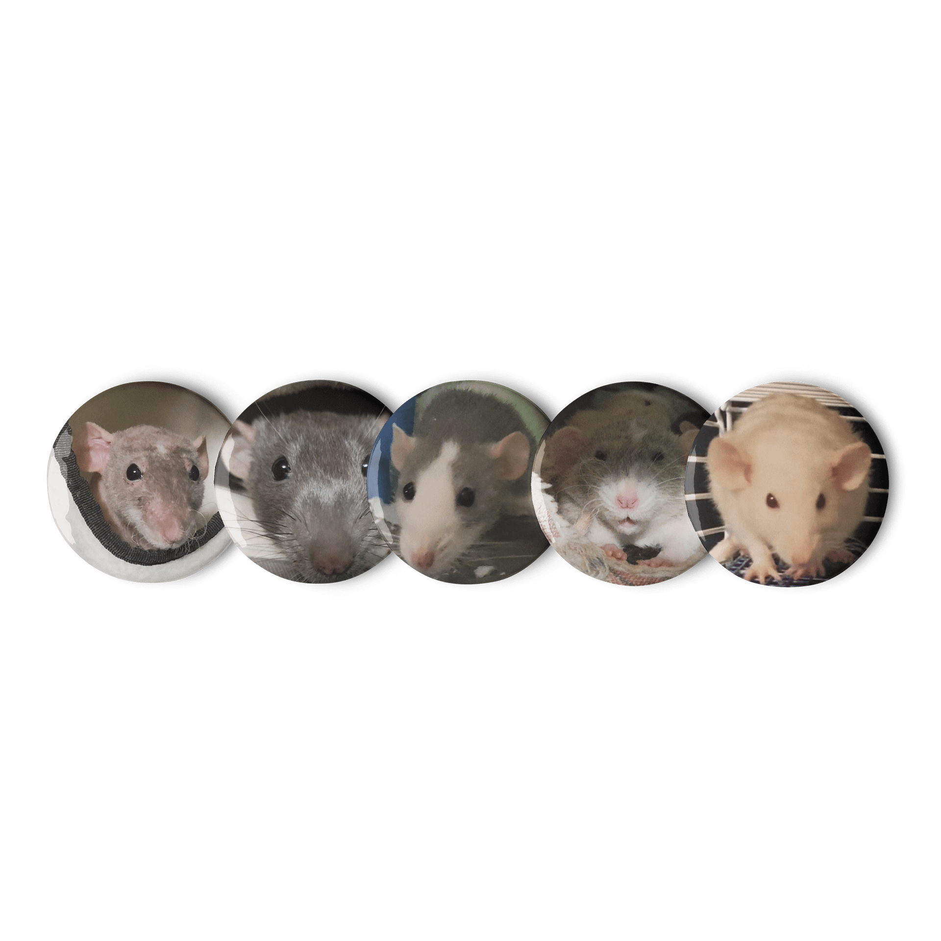 Rat Pictures 2 || Set of Pin Buttons product image (1)