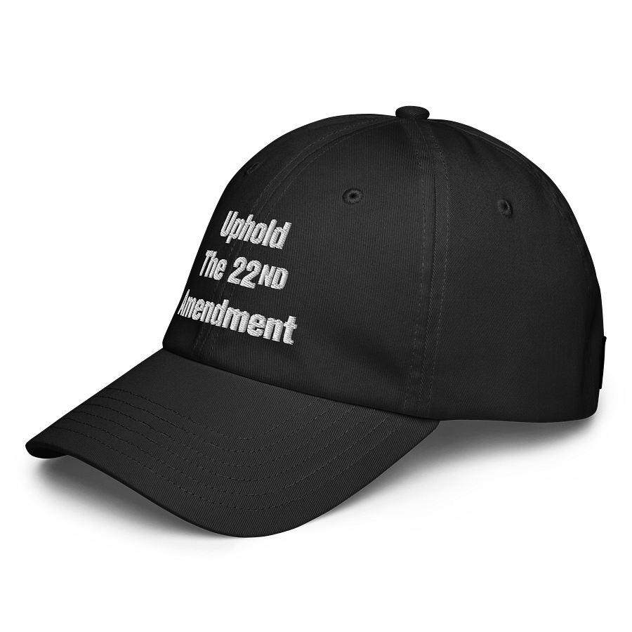 Uphold The 22nd Amendment Hat product image (3)