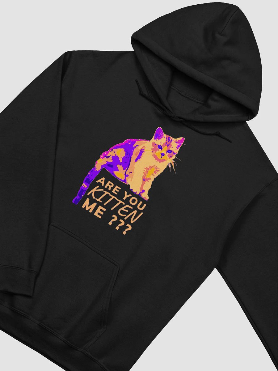 ARE YOU KITTEN ME??? product image (30)