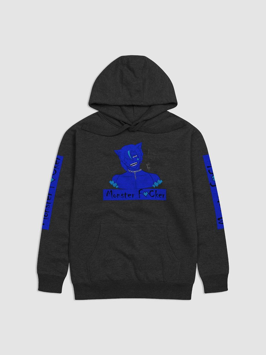 The Honest Hoodie product image (1)