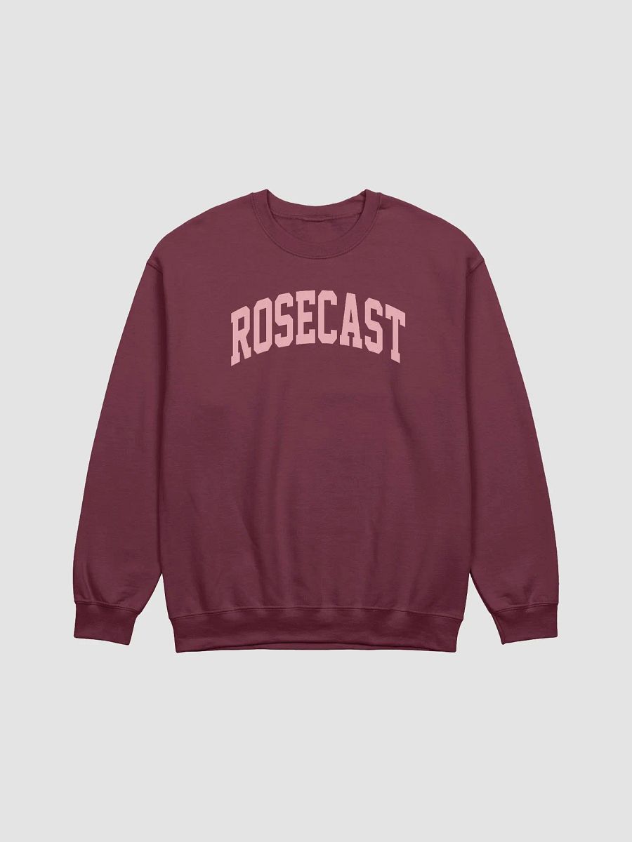 College Block Crewneck Sweatshirt product image (5)