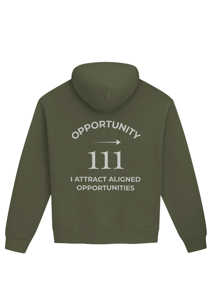 Unisex Premium Oversized Hoodie - 111 — I attract aligned opportunities product image (21)