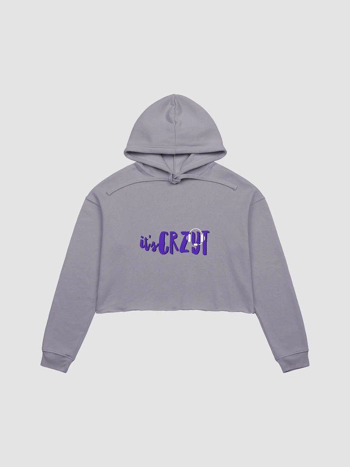 CRZYT CROP HOODIE product image (1)