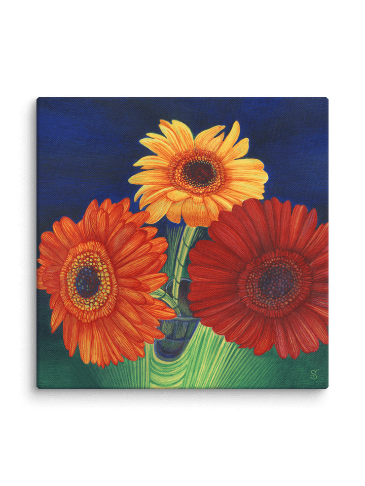 Blank Canvas Collection - Bright Gerberas product image (2)
