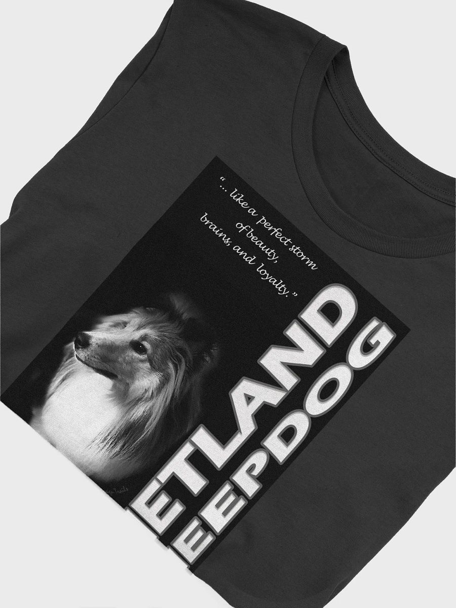 Beauty, Brains, & Loyalty Sheltie T-Shirt product image (26)