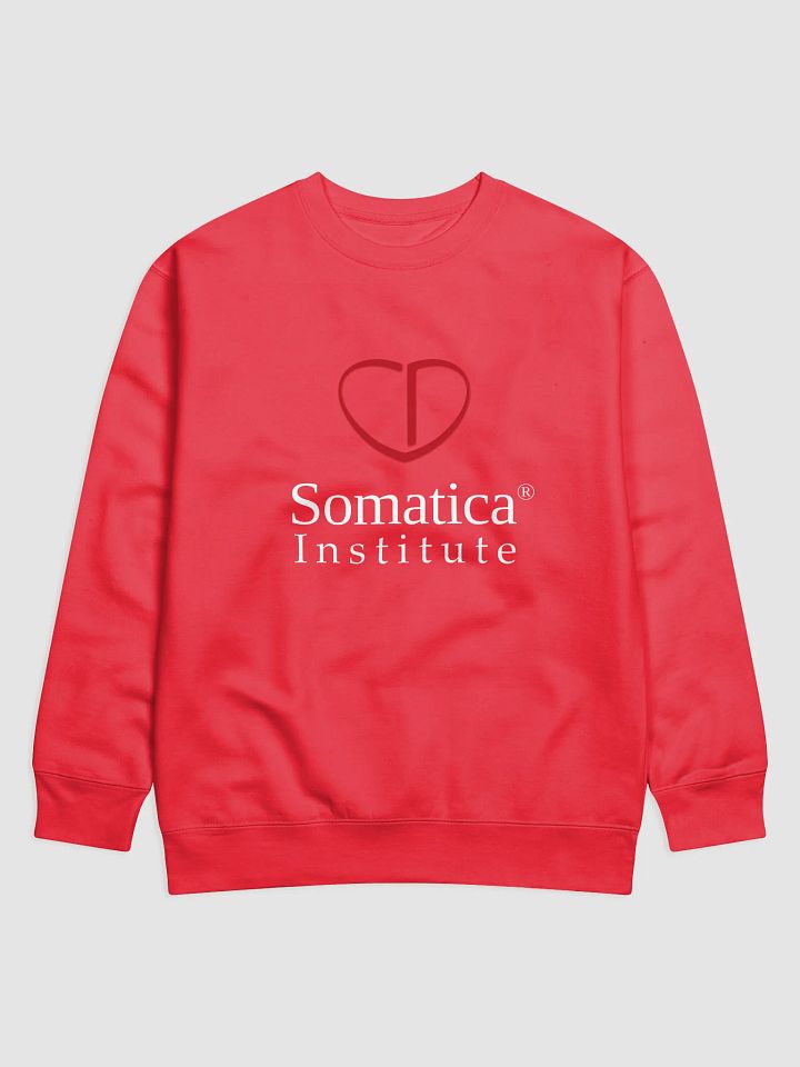 Somatica Institute Sweatshirt product image (1)