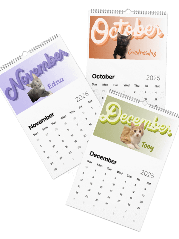 2025 Rescue Cat Calendar product image (2)