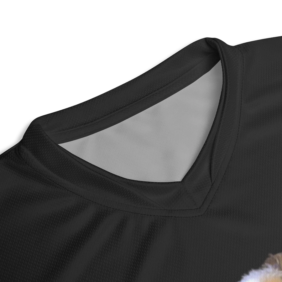 holesome_ gaming jersey v2 product image (5)