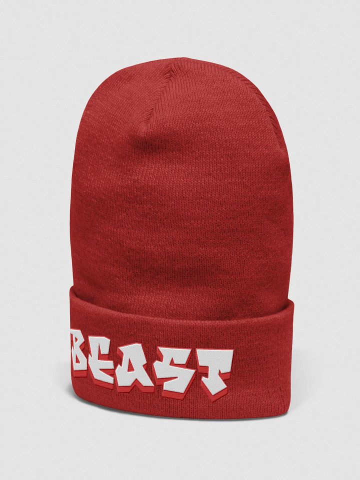 BEAST, Graffiti, Beanie product image (2)