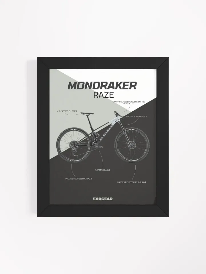 Mondraker Raze frame product image (2)