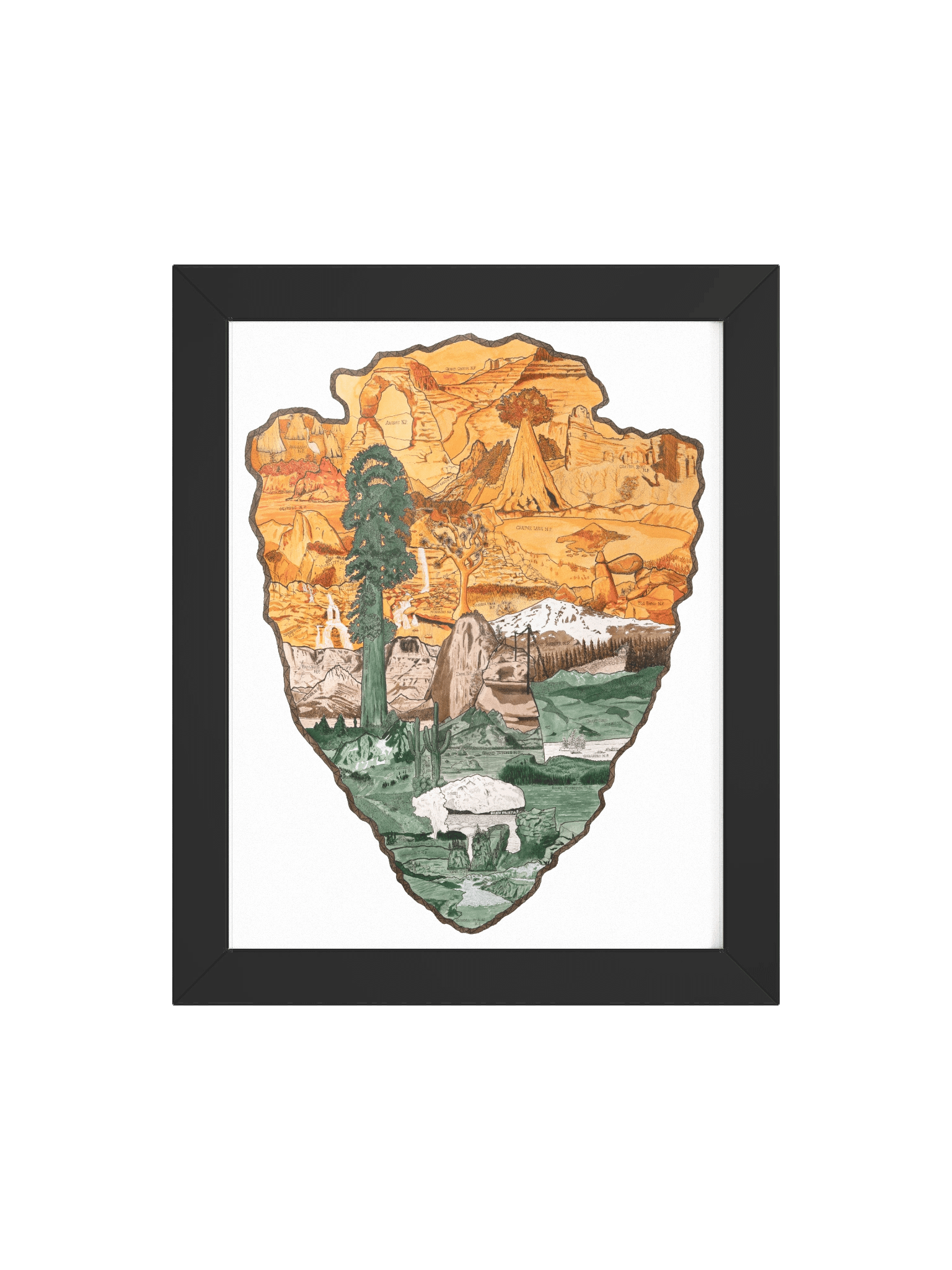 "One Wild Symphony" Framed Print product image (21)