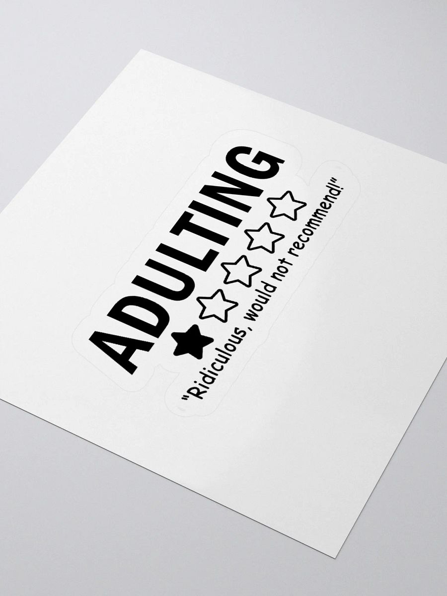 adulting product image (7)