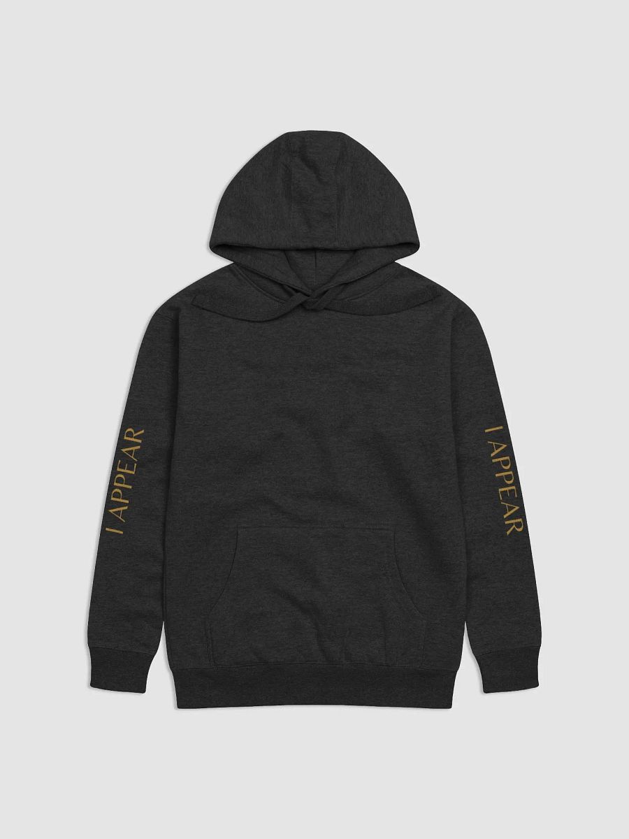 Stronger than I Appear - Gold Print Black Hoodie product image (1)