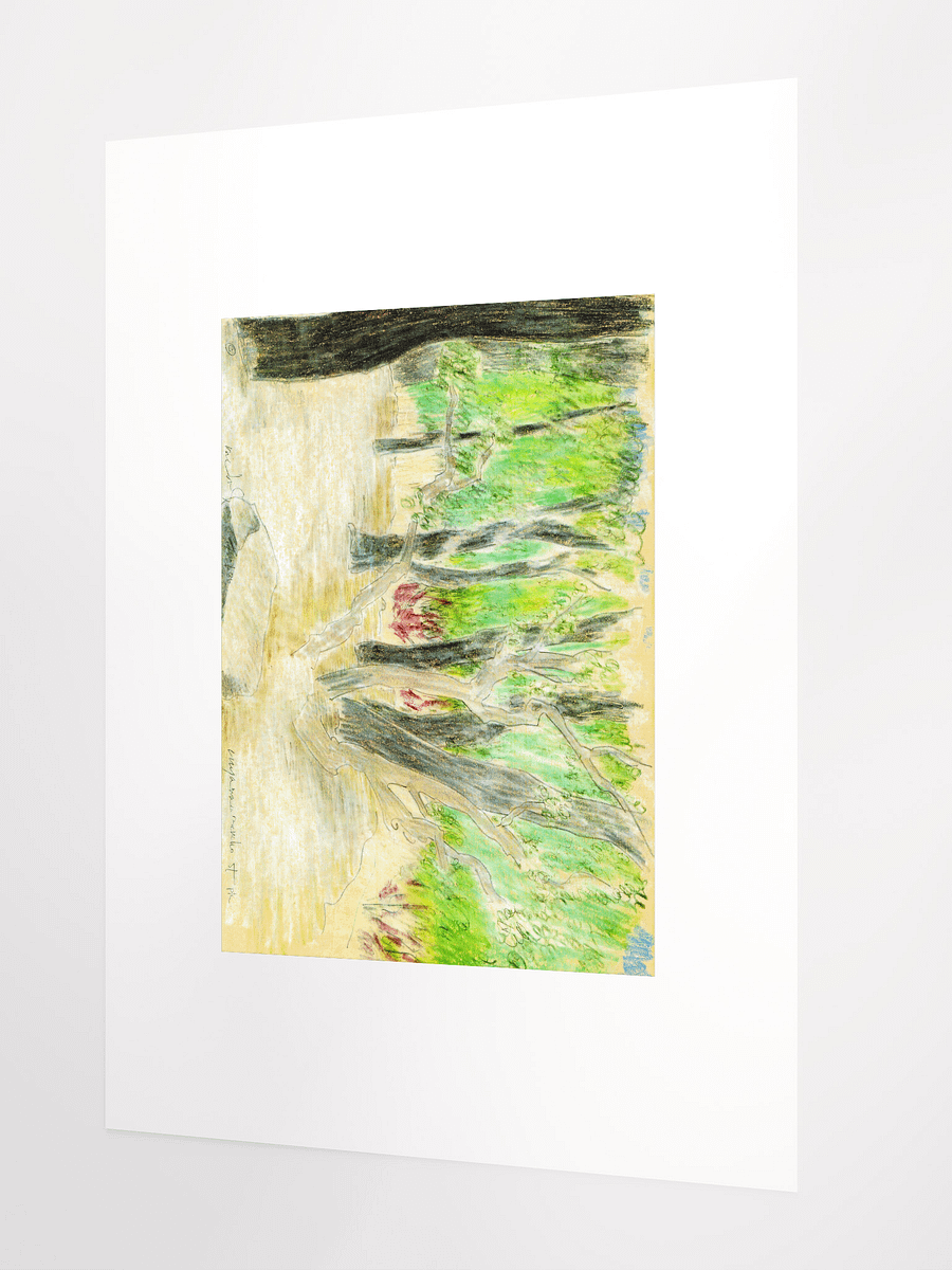 Cuyamaya Canyon State Park, CA 09.16.86 print product image (3)