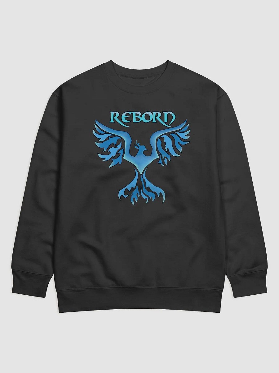 sweatshirt product image (1)