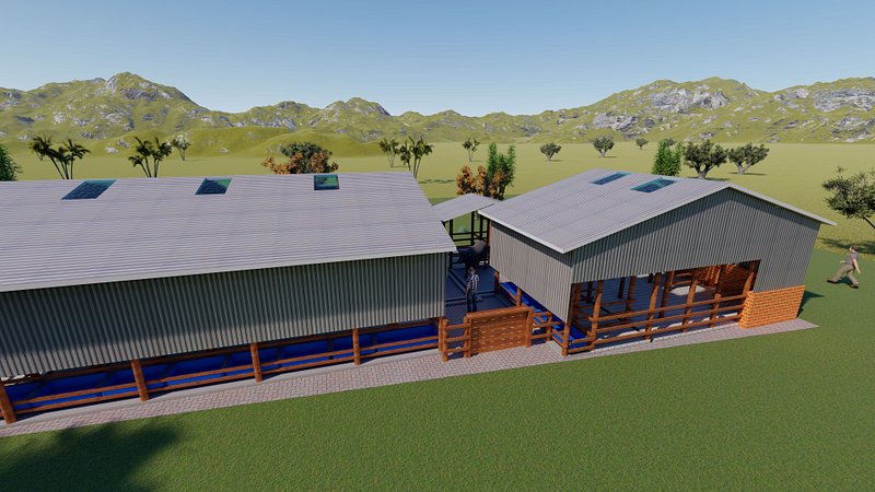 10 Dairy Cows Design Plan