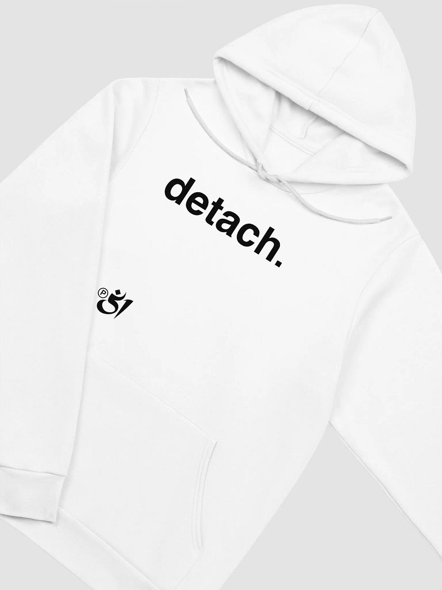 detach. hoodie product image (3)