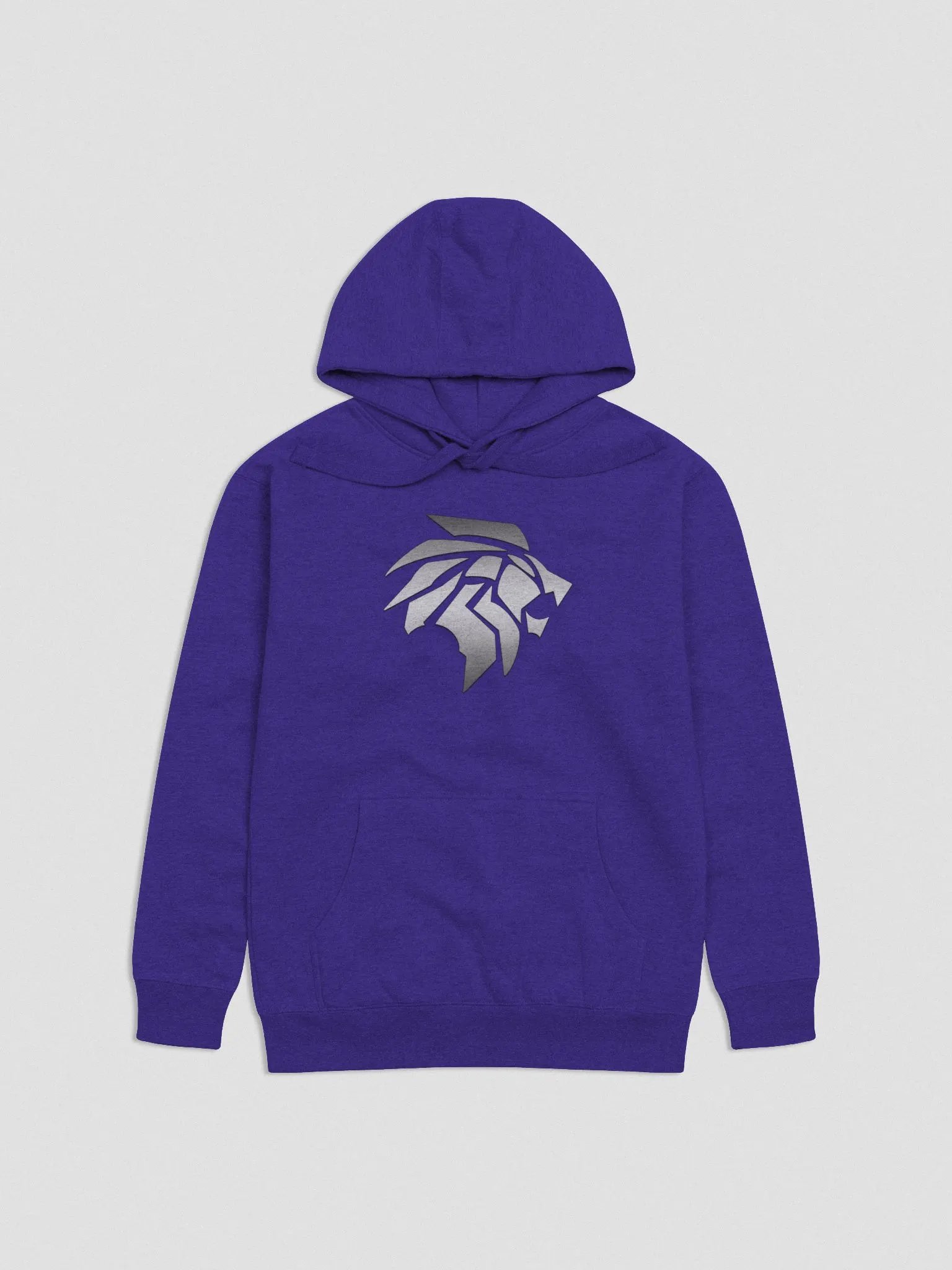 Big Logo Premium Hoodie - Unisex product image (5)