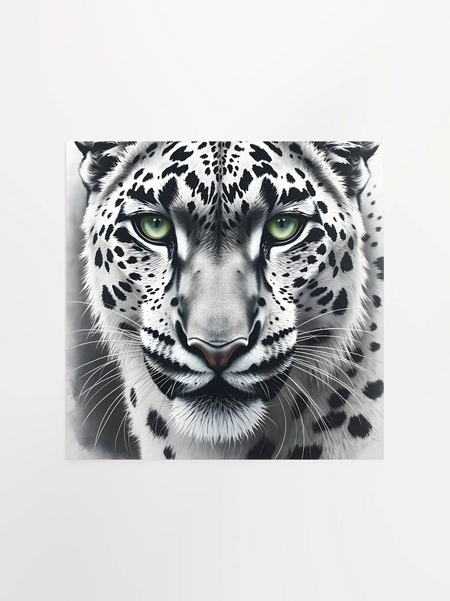 Snowleopard product image (2)