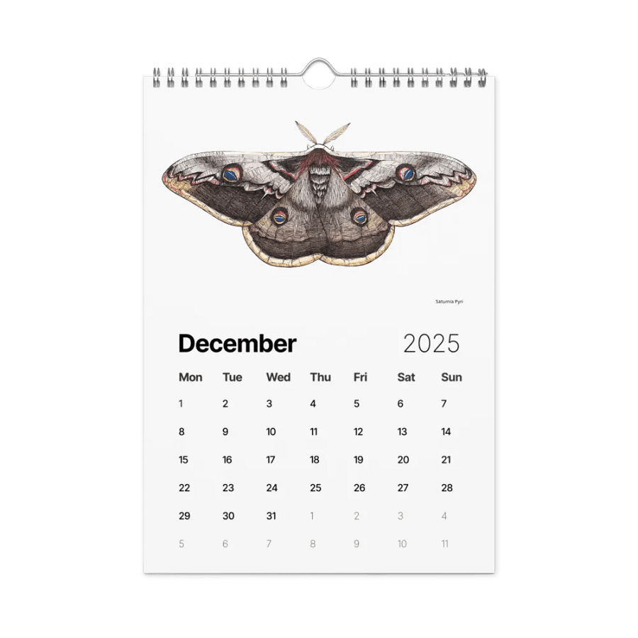 INSECTUM ABSTRACTUS - 2025 Calendar product image (6)
