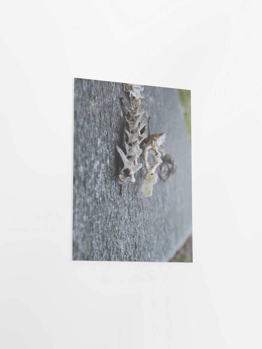 Ruins of Miniature Dragons product image (30)