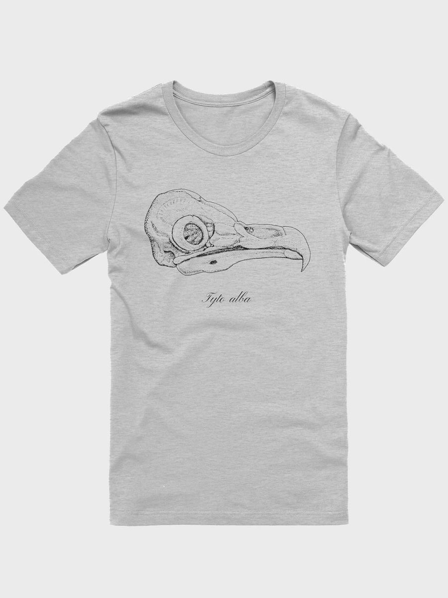 Barn Owl Skull product image (1)