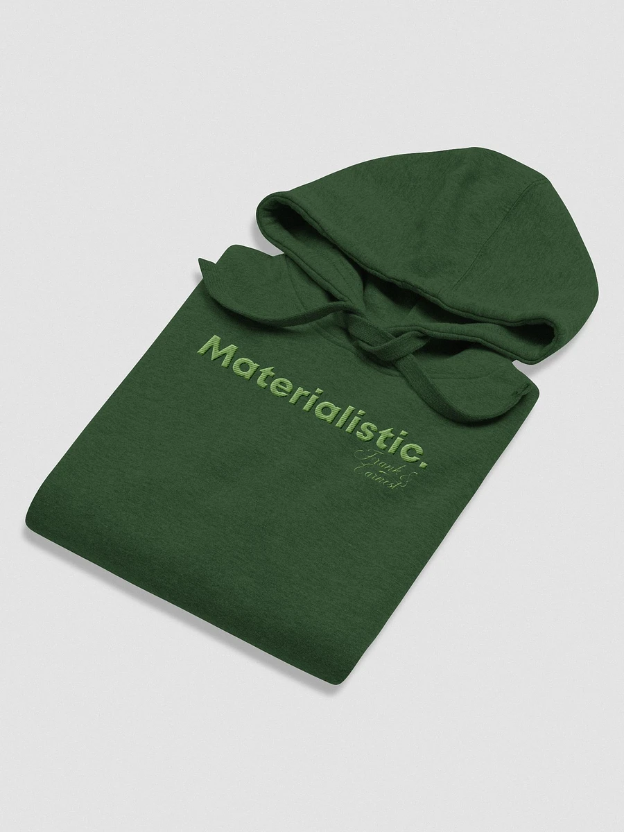 Materialistic Embroidered Hoodie F&E1 product image (4)