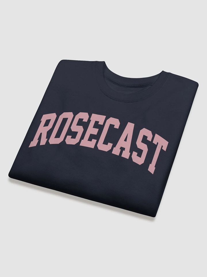 College Block Crewneck Sweatshirt (Premium) product image (2)