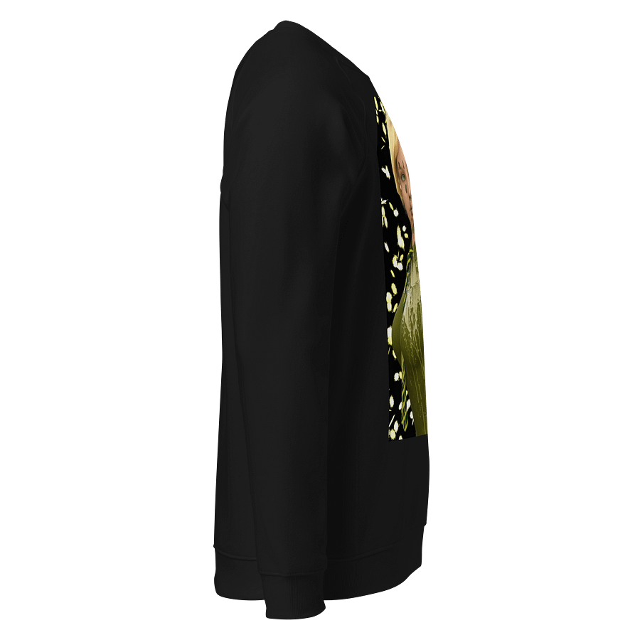 Abstract Splatter Organic Raglan Sweatshirt product image (9)