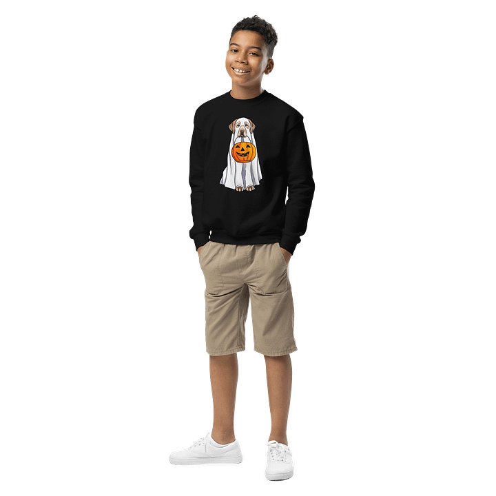 Halloween Labrador Retriever(Yellow) Youth Sweatshirt product image (1)