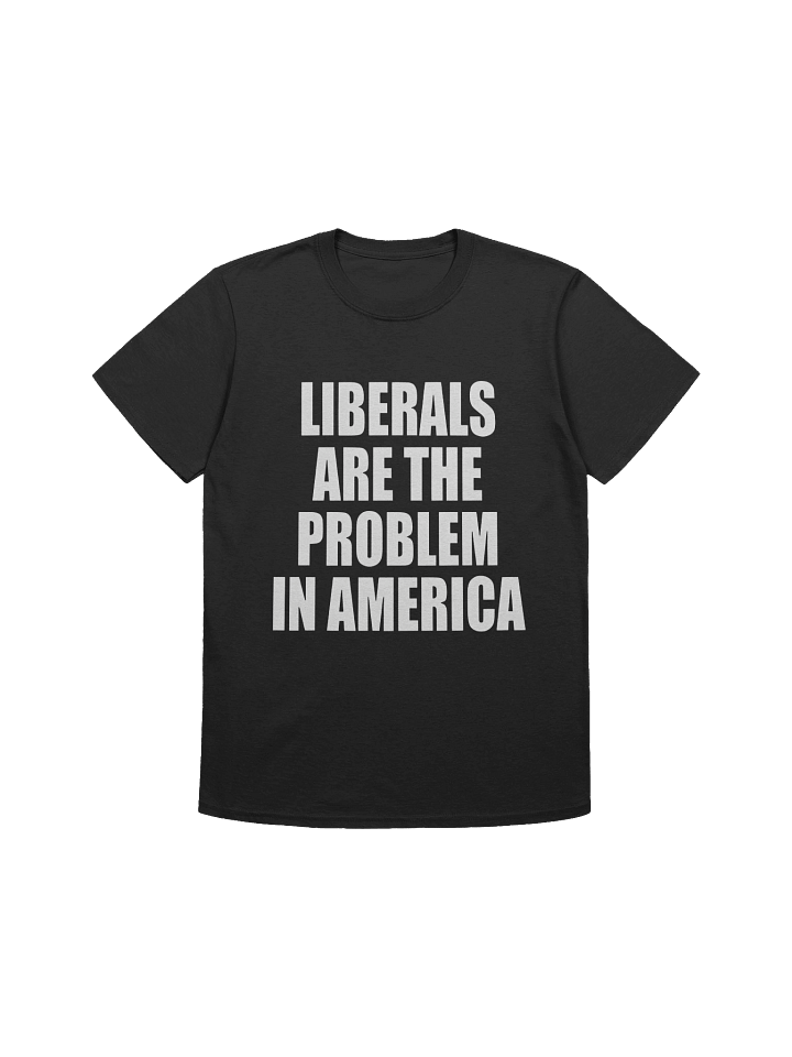 Liberals Are The Problem In America T-Shirt product image (1)