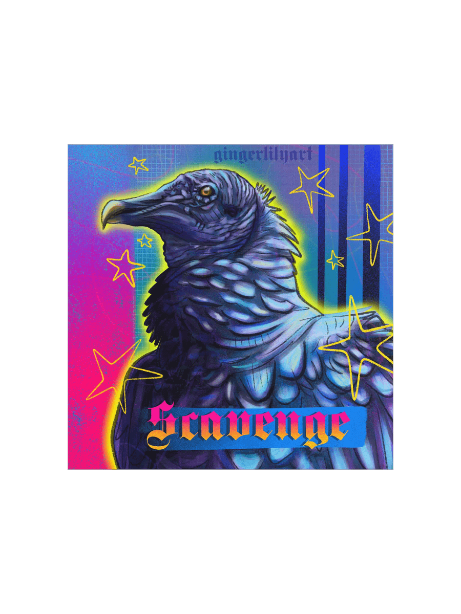black vulture product image (5)