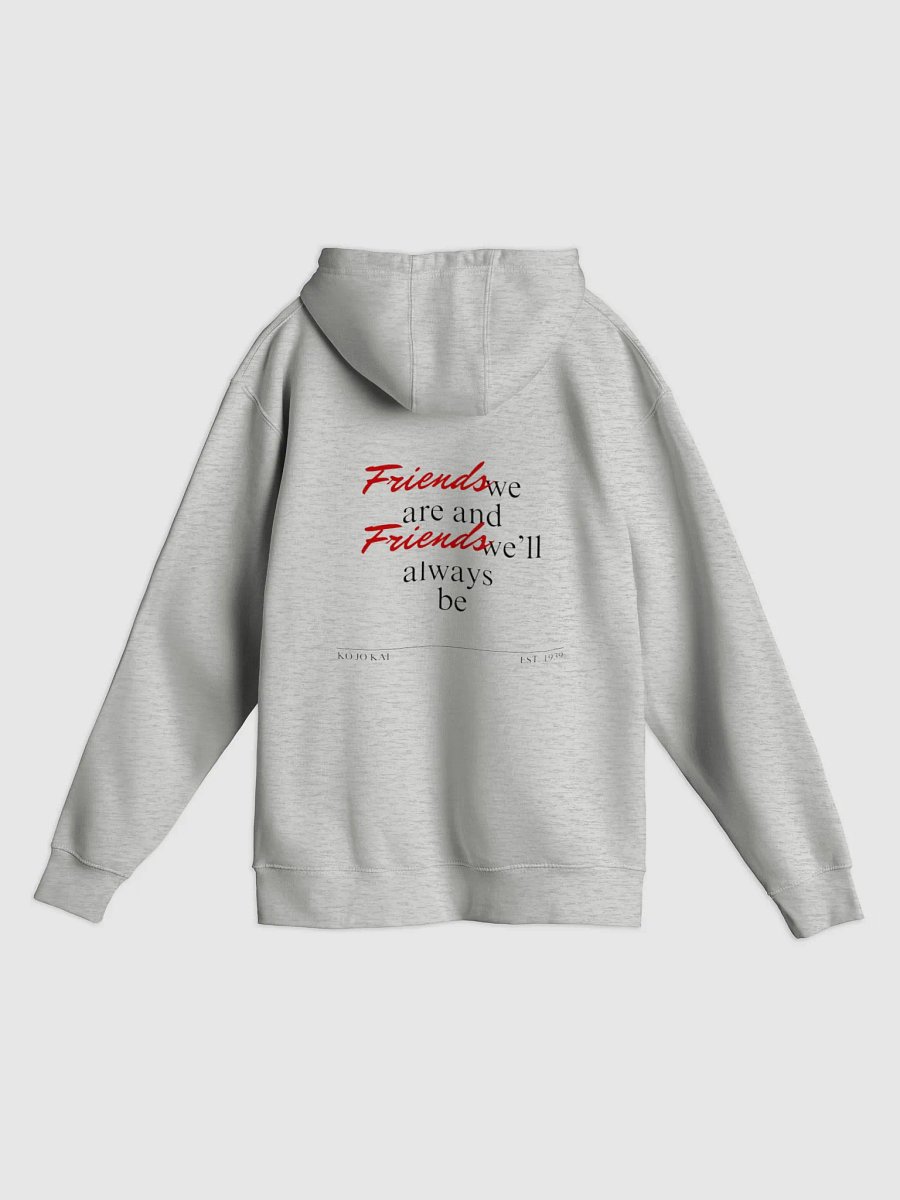 Friends we are hoodie product image (1)