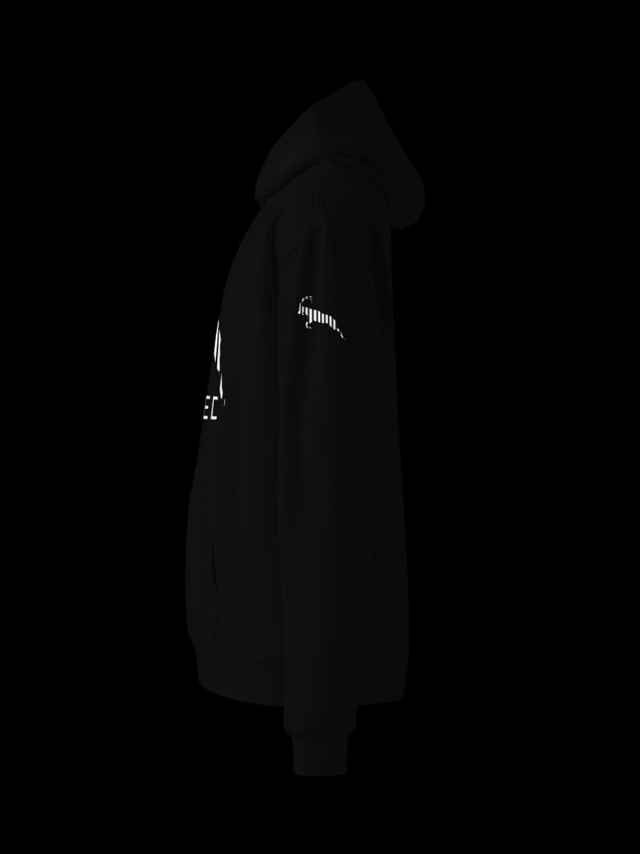 GOATED SPORTS® Men's Essentials Big Logo Hoodie product image (3)
