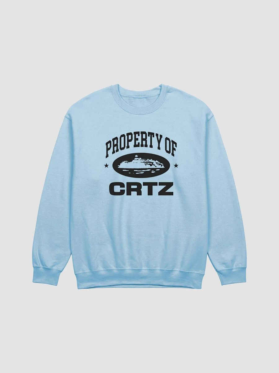 Corteiz P.O.C Sweatshir product image (1)
