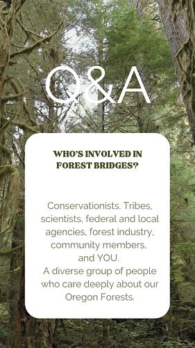 Q&A Wednesday: Who's Involved in Forest Bridges?

Conservationists. Tribes, scientists, federal and local agencies, forest in...